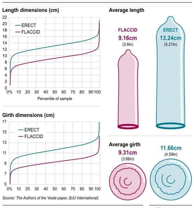 Forum penis size How to