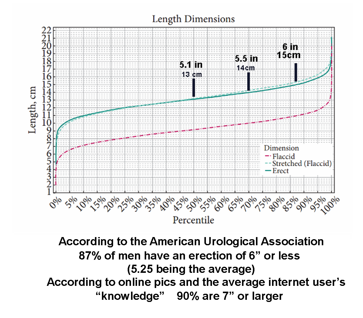 Average size chart - MEASURECTION Reference Library - Measurection.com ...