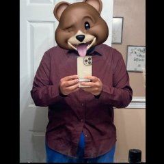 Bi_Brown_Bear